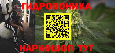 ECSTASY Кандалакша