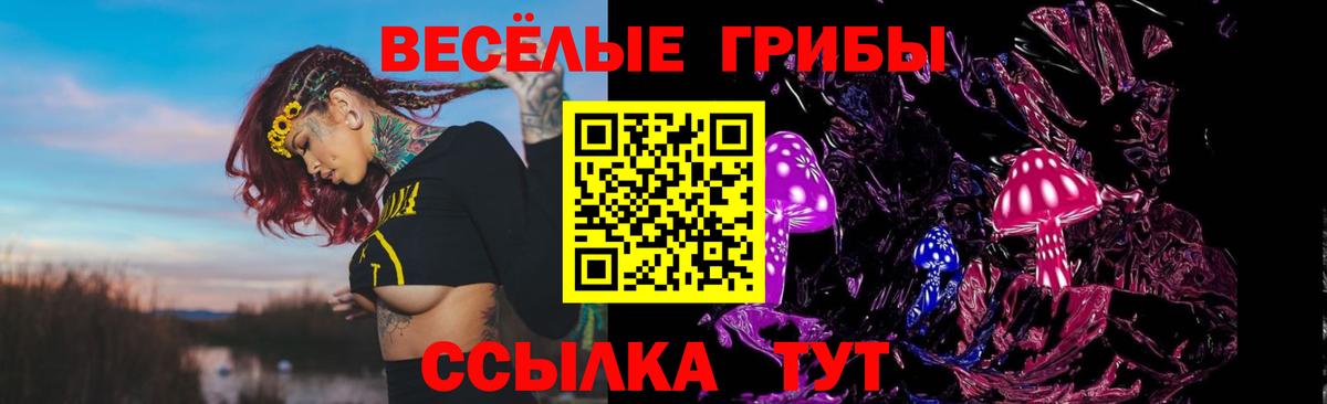 Псилоцибиновые грибы ЛСД Избербаш